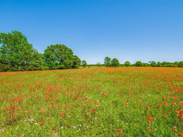 Lot 44 Paradise Cov, Streetman, TX 75859