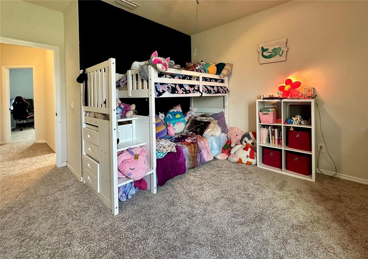 10934 79th Street E, Parrish, FL 34219 Photo