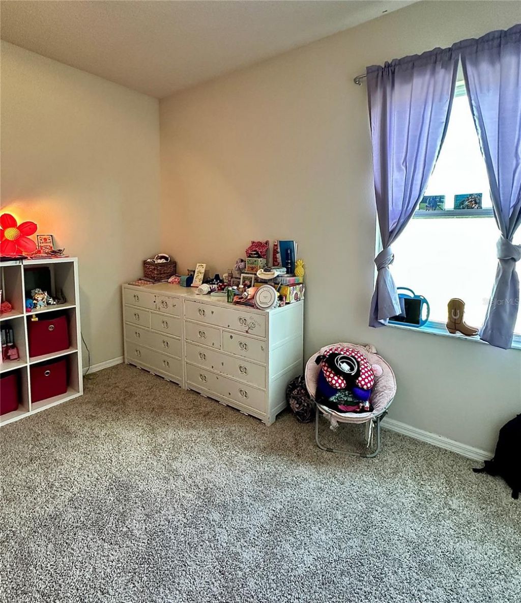 10934 79th Street E, Parrish, FL 34219 Photo