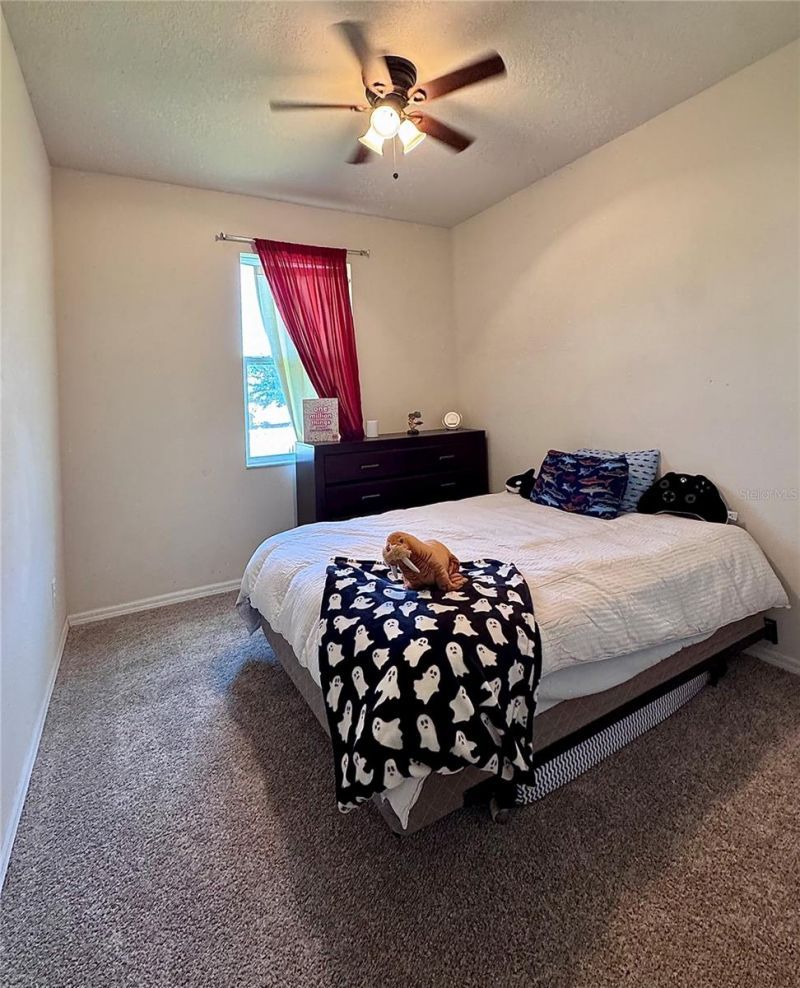 10934 79th Street E, Parrish, FL 34219 Photo