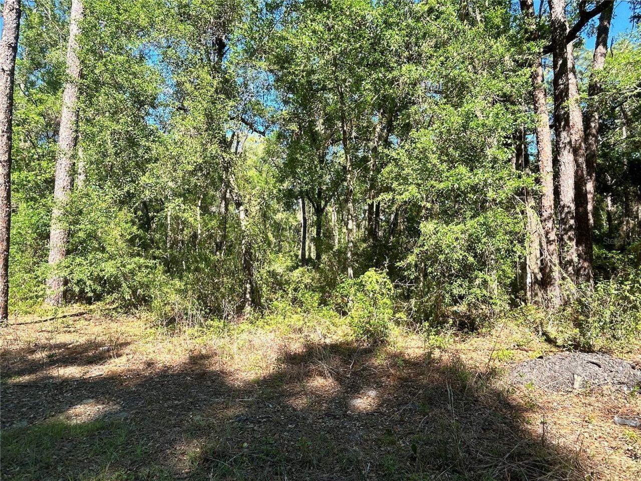 9319 S Florida Avenue, Floral City, FL 34436 Photo