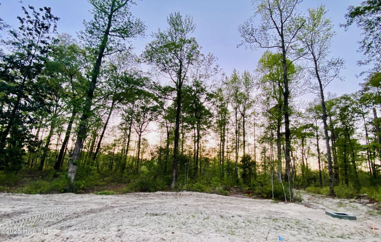 Lot 27 Plover Way, New Bern, NC 28562 Main Photo