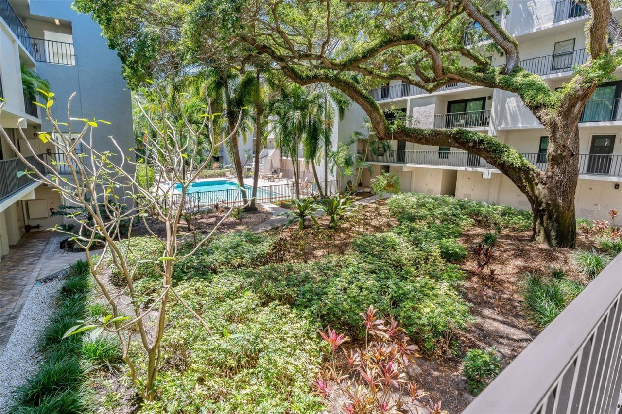 105 4th Avenue Ne, Unit 220, Saint Petersburg, FL 33701 Photo