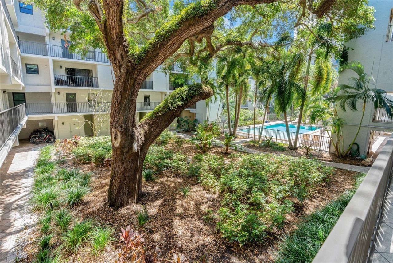 105 4th Avenue Ne, Unit 220, Saint Petersburg, FL 33701 Photo