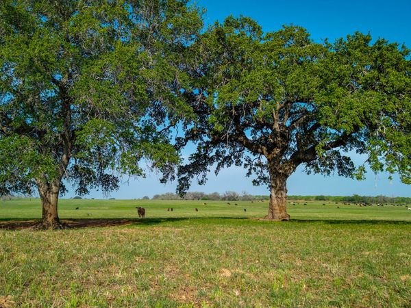 TBD County Road 404, Floresville, TX 78114