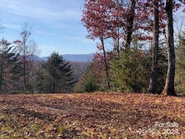 30 Mountain Parkway, Mill Spring, NC 28756