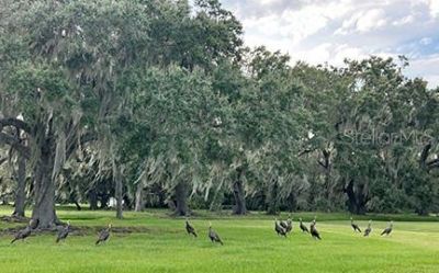 3650 Lake Tohopekaliga Road, Saint Cloud, FL 34772 Photo