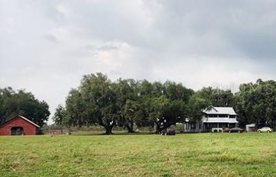 3650 Lake Tohopekaliga Road, Saint Cloud, FL 34772 Photo