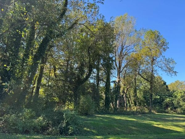 LOT 21 Riverview Drive, HEATHSVILLE, VA 22473