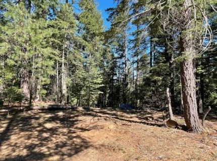 12664 Last Chance Mine Rd, Nevada City, CA 95959 Photo