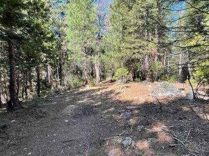 12664 Last Chance Mine Rd, Nevada City, CA 95959 Photo