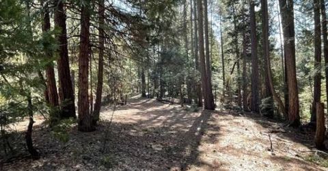 12664 Last Chance Mine Rd, Nevada City, CA 95959 Photo