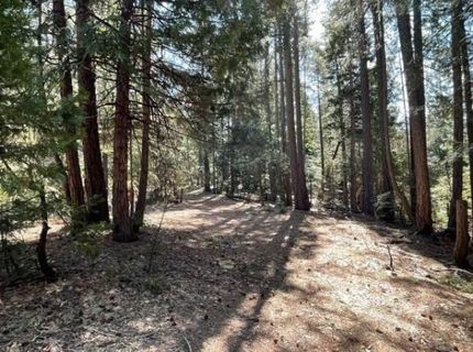 12664 Last Chance Mine Rd, Nevada City, CA 95959 Photo
