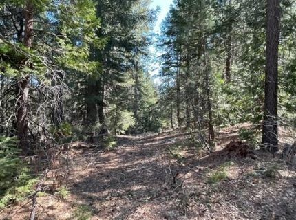 12664 Last Chance Mine Rd, Nevada City, CA 95959 Photo