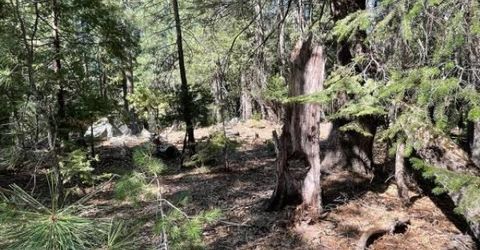 12664 Last Chance Mine Rd, Nevada City, CA 95959 Photo