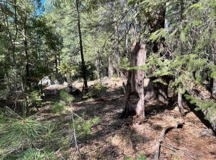 12664 Last Chance Mine Rd, Nevada City, CA 95959 Photo