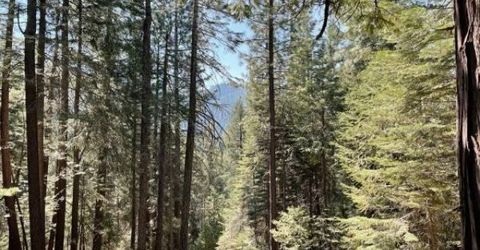 12664 Last Chance Mine Rd, Nevada City, CA 95959 Photo