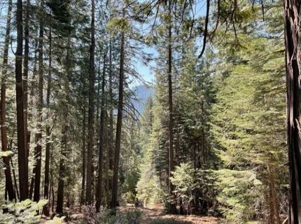 12664 Last Chance Mine Rd, Nevada City, CA 95959 Photo
