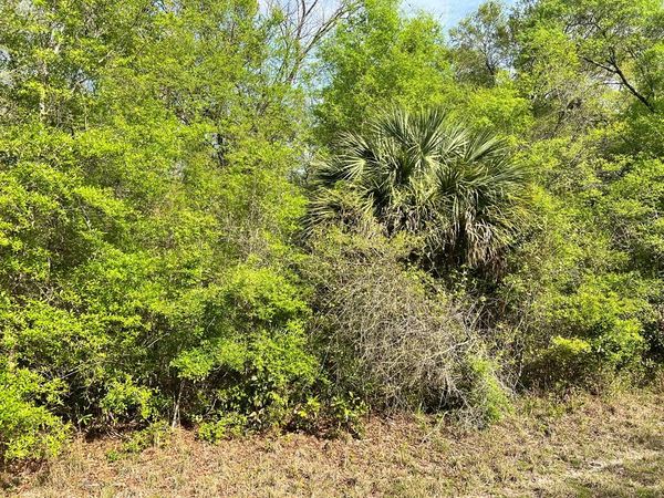 0 NW 74th Ct, Chiefland, FL 32626
