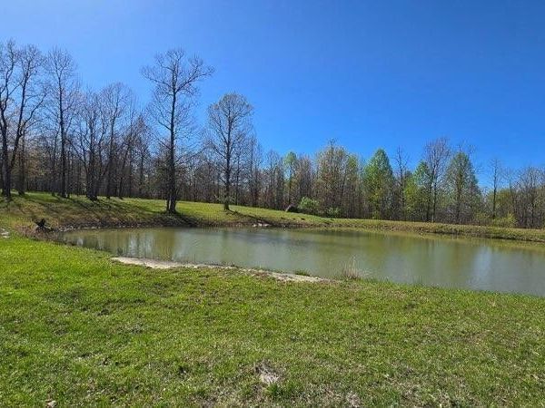 217 Day Dream Drive, Dunlap, TN 37327