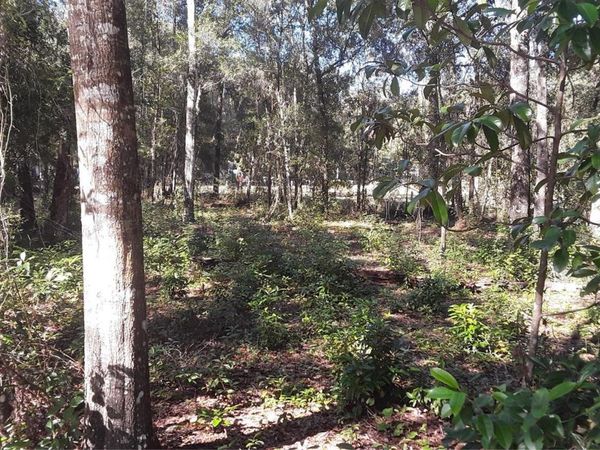 BEAVERHEAD STREET, ALFORD, FL 32420