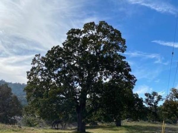 0 High Echelon Court, Tehachapi, CA 93561