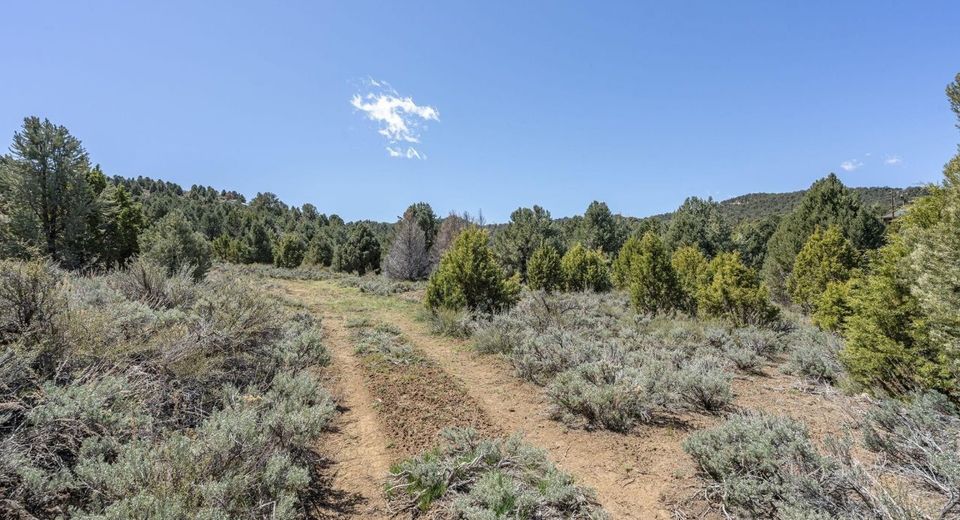 1850 Lousetown Road, Reno, NV 89521 Photo