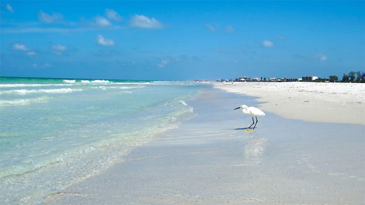 5920 Midnight Pass Road, Unit 406, Sarasota, FL 34242 Photo