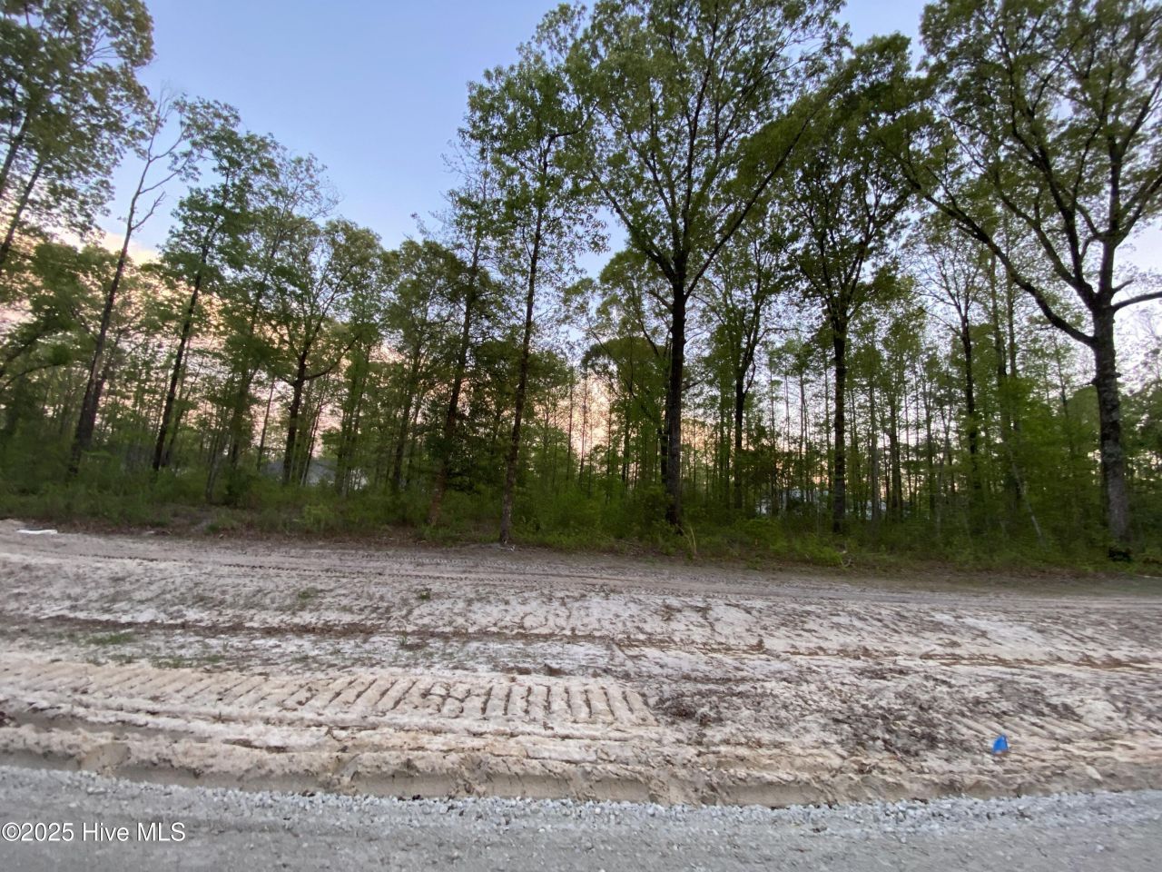 Lot 28 Plover Way, New Bern, NC 28562 Main Photo
