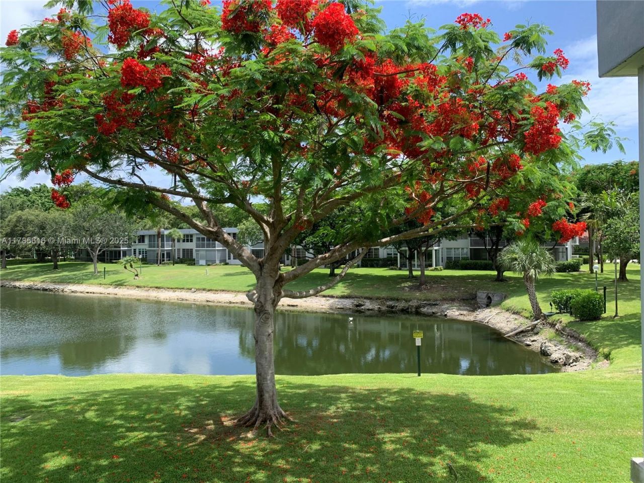 4221 W Palm Aire Dr, Unit 203, Pompano Beach, FL 33069 Photo