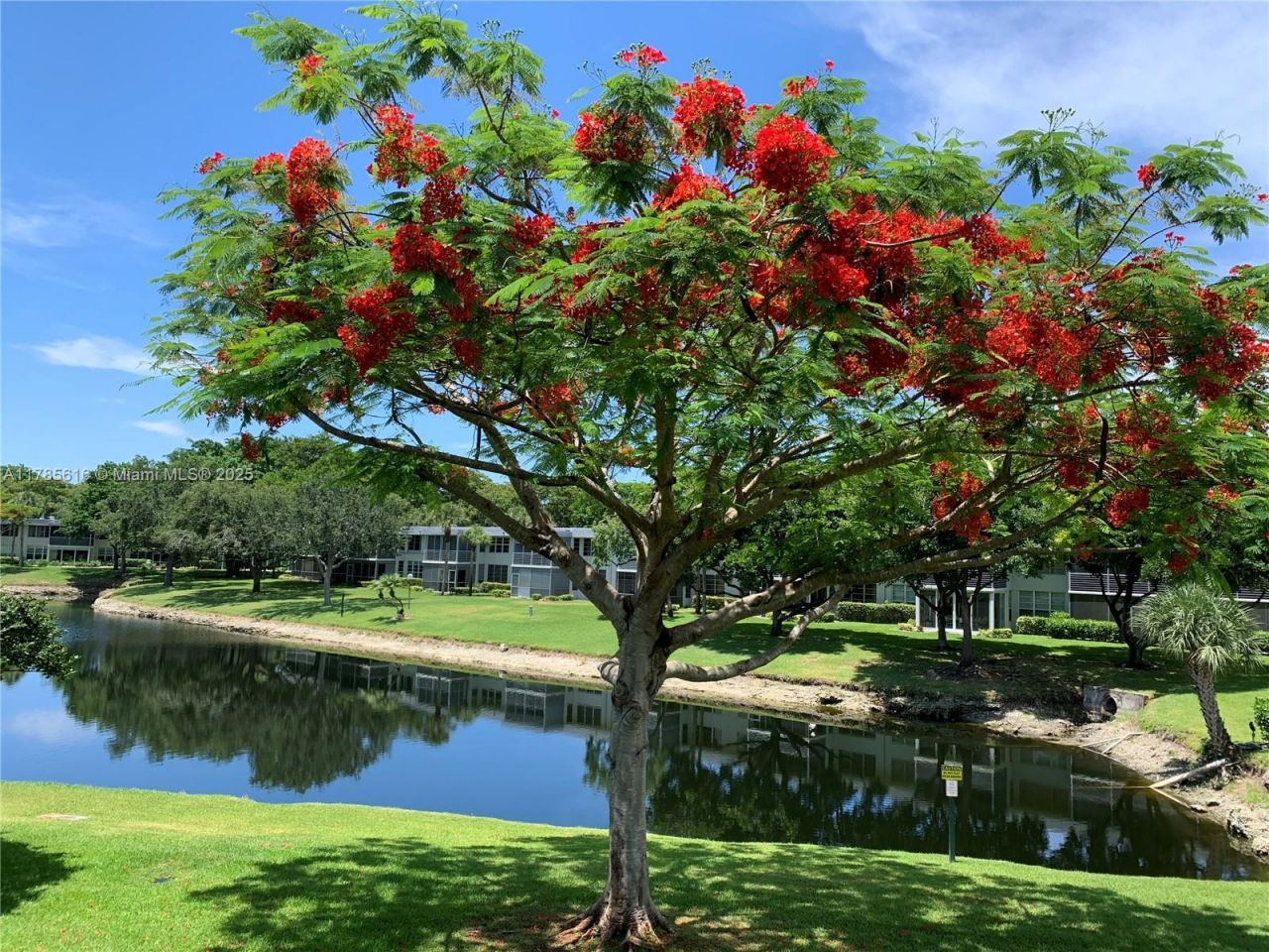 4221 W Palm Aire Dr, Unit 203, Pompano Beach, FL 33069 Photo