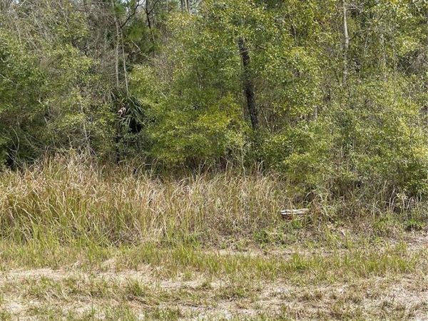 14139 PIGEON ROAD, HUDSON, FL 34669