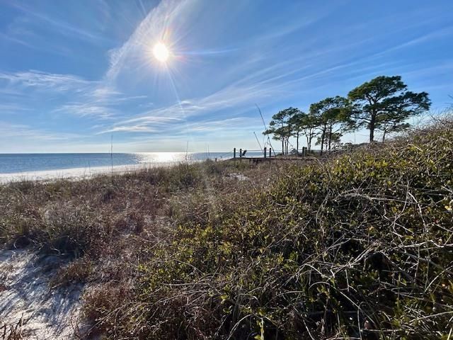 1464 Alligator Drive, Alligator Point, FL 32346 Photo