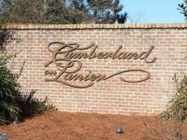 4129 Greyfield Bluff Drive, Gainesville, GA 30504