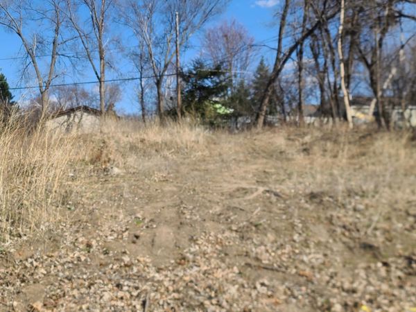 1104 Mackubin Street, Saint Paul, MN 55117