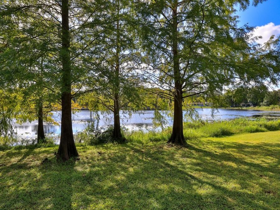 Property Image 75