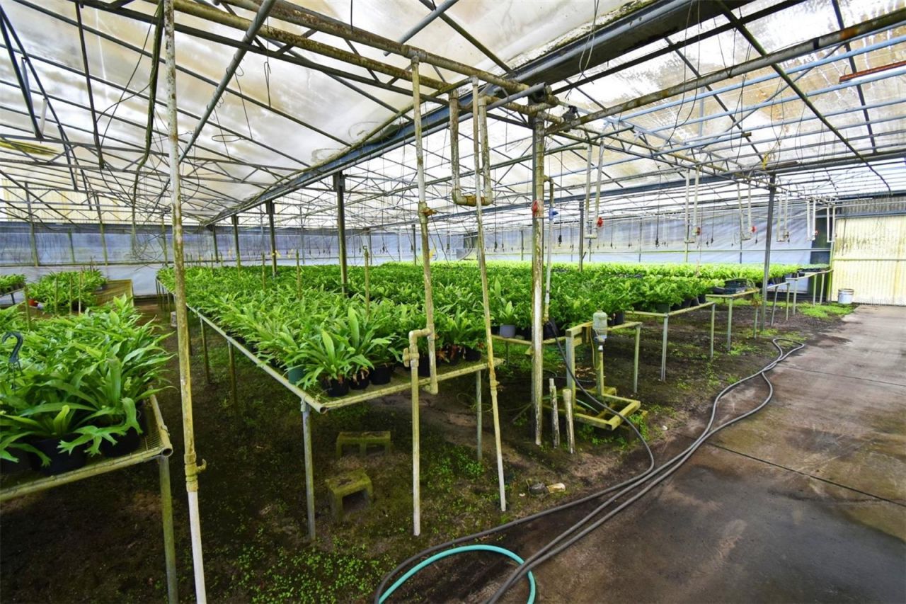 20900 State Road 44, Eustis, FL 32736 Photo