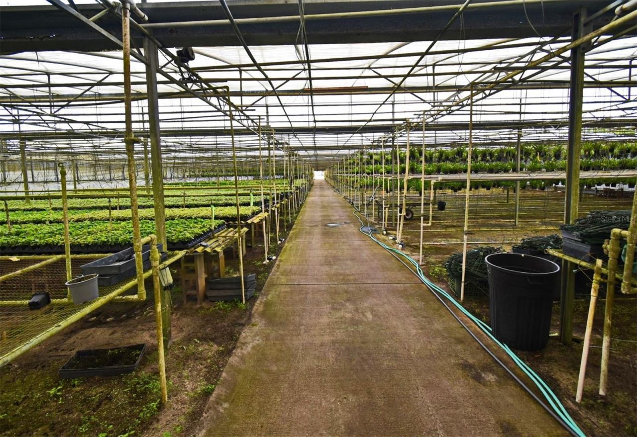 20900 State Road 44, Eustis, FL 32736 Photo