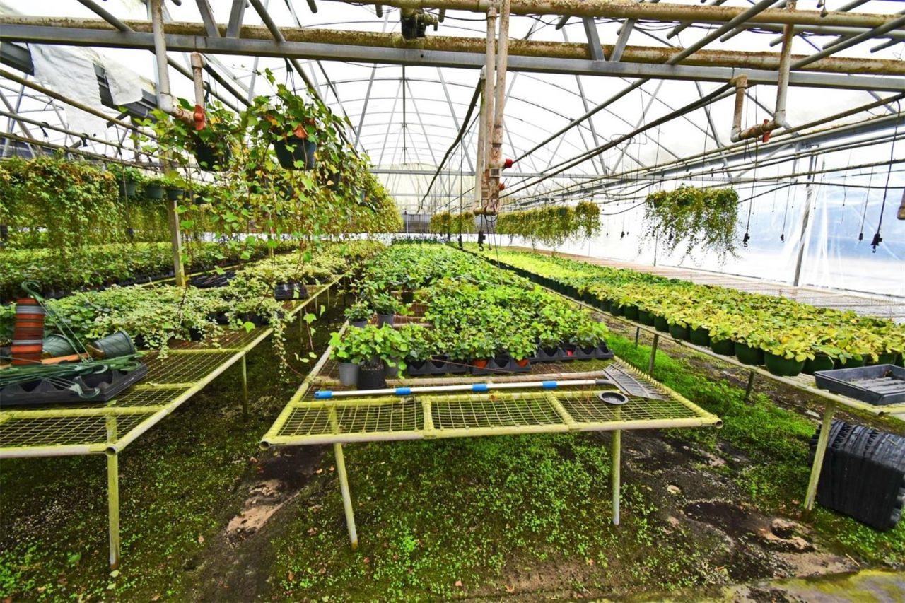 20900 State Road 44, Eustis, FL 32736 Photo