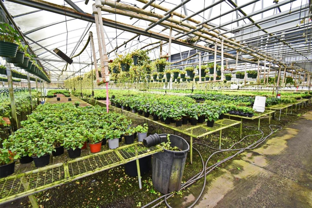 20900 State Road 44, Eustis, FL 32736 Photo