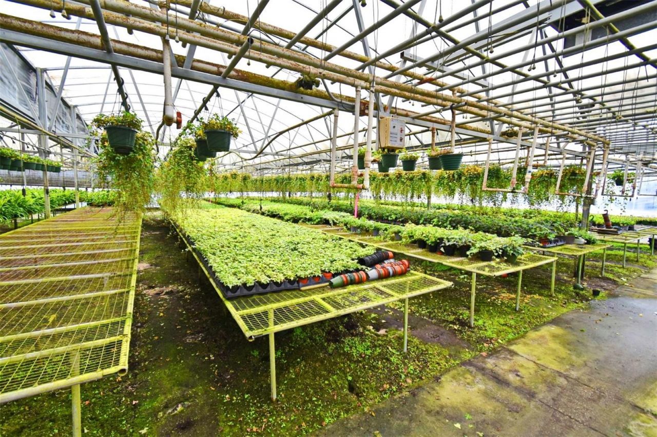 20900 State Road 44, Eustis, FL 32736 Photo