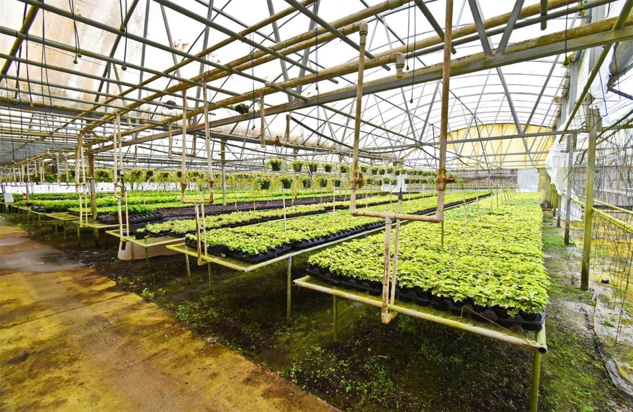 20900 State Road 44, Eustis, FL 32736 Photo