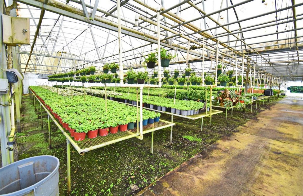 20900 State Road 44, Eustis, FL 32736 Photo