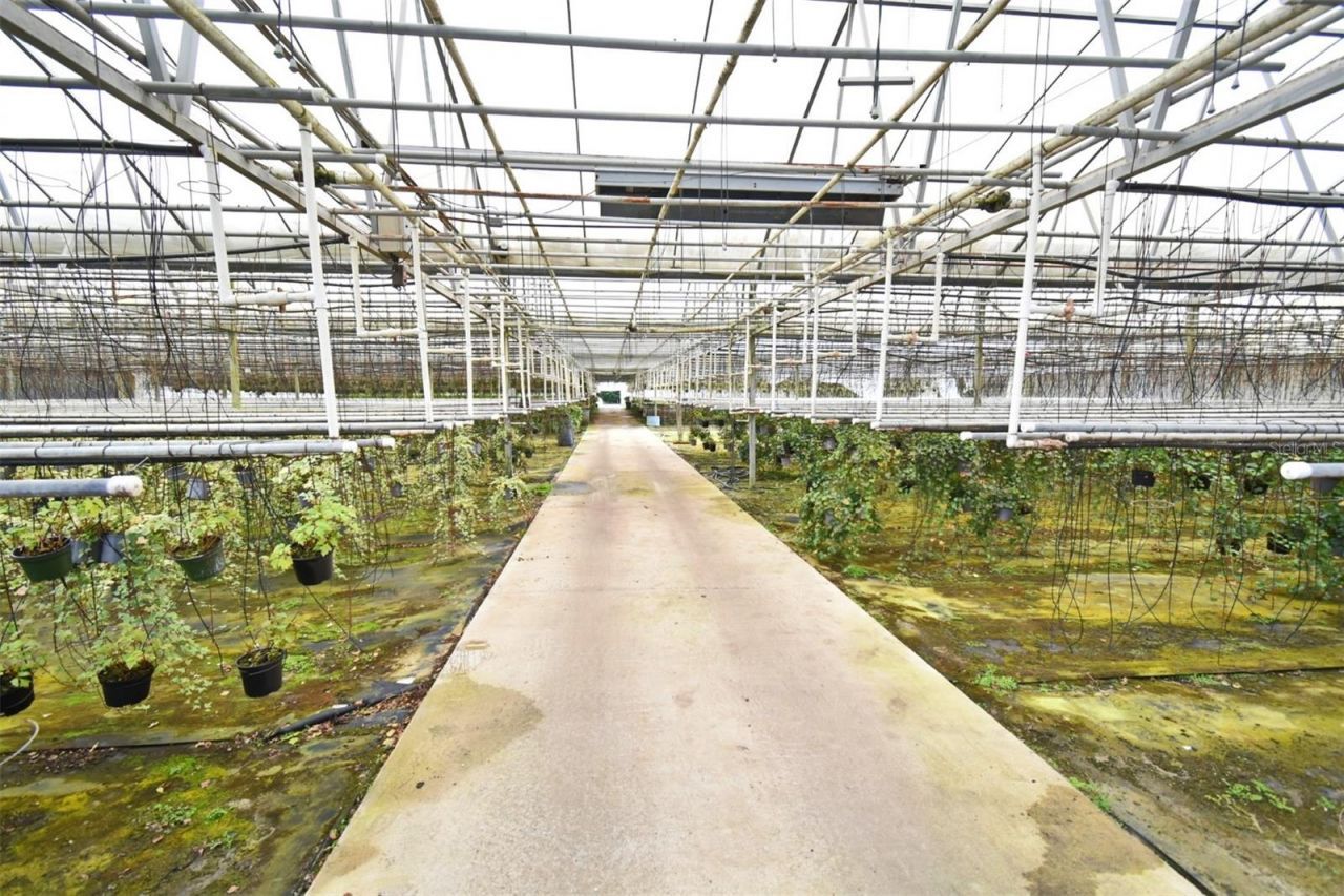 20900 State Road 44, Eustis, FL 32736 Photo