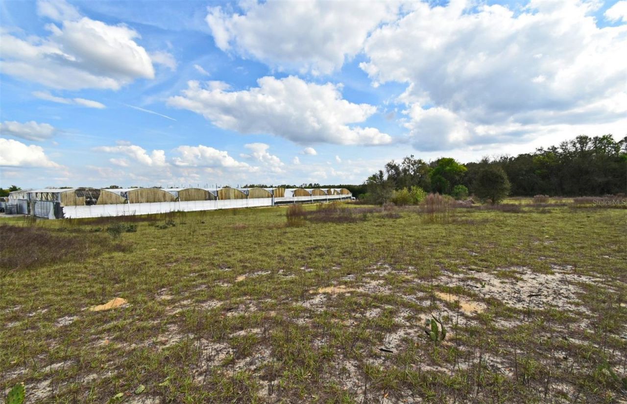 20900 State Road 44, Eustis, FL 32736 Photo