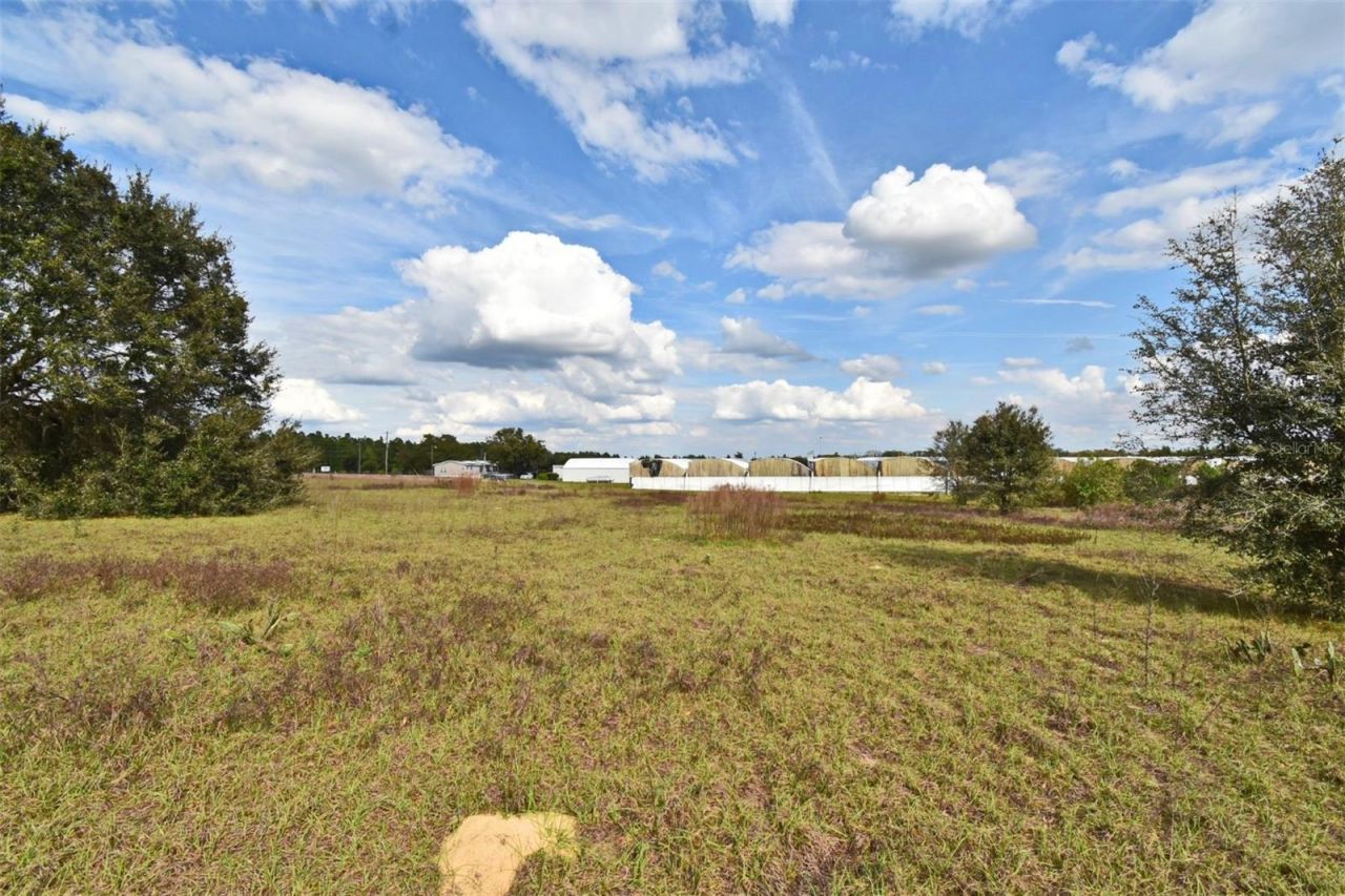20900 State Road 44, Eustis, FL 32736 Photo