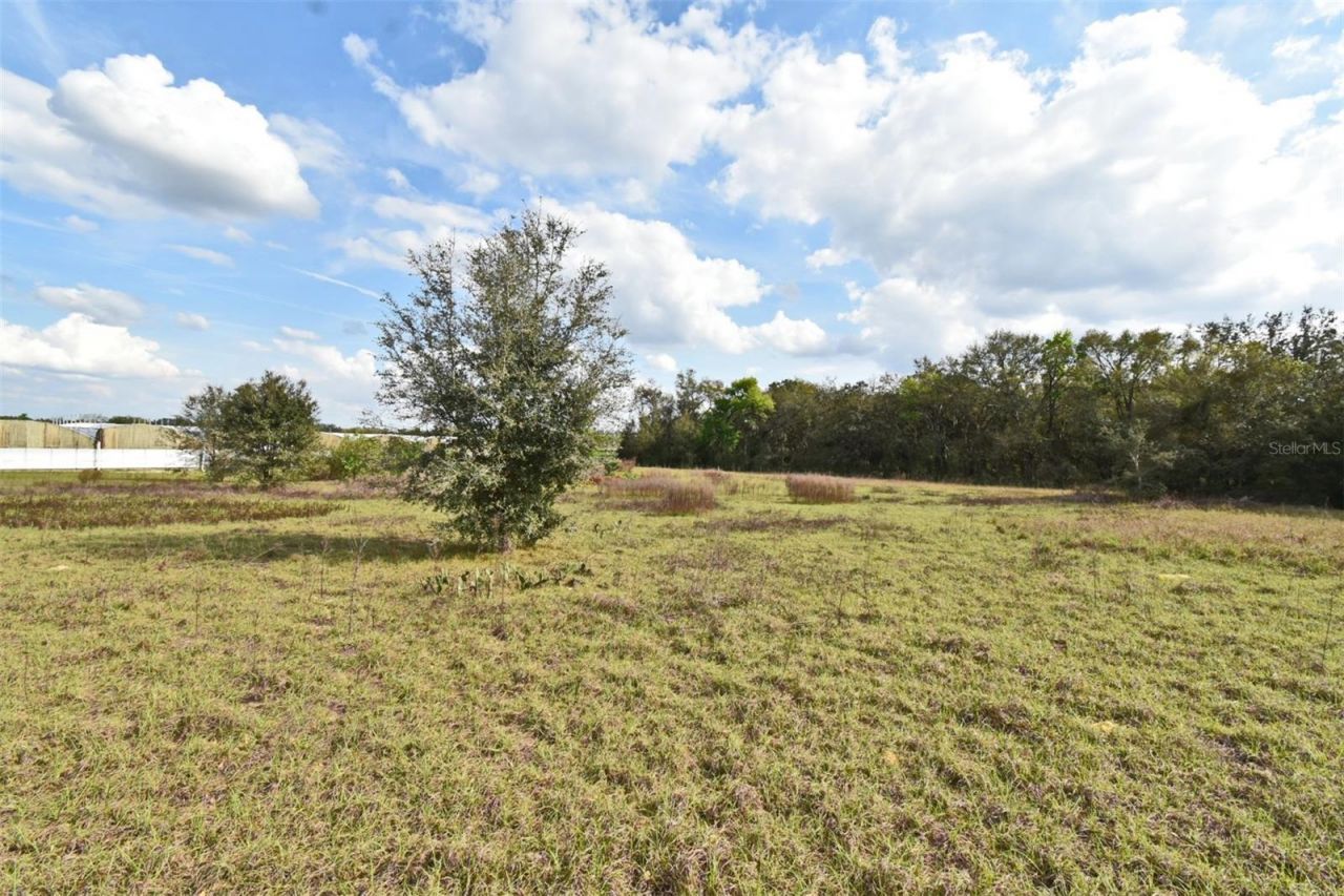 20900 State Road 44, Eustis, FL 32736 Photo