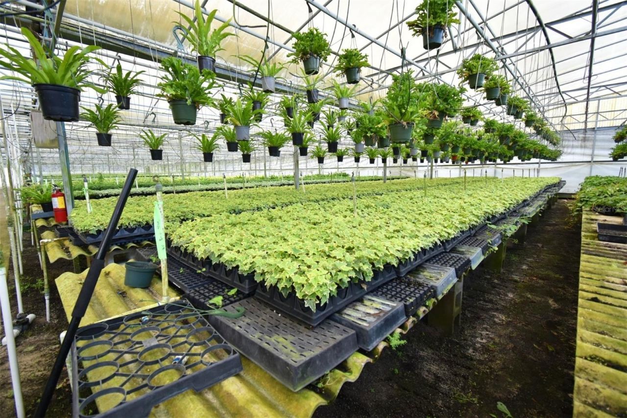 20900 State Road 44, Eustis, FL 32736 Photo