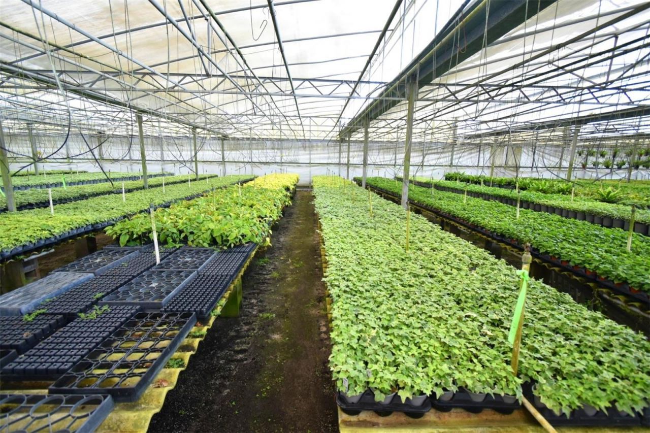 20900 State Road 44, Eustis, FL 32736 Photo