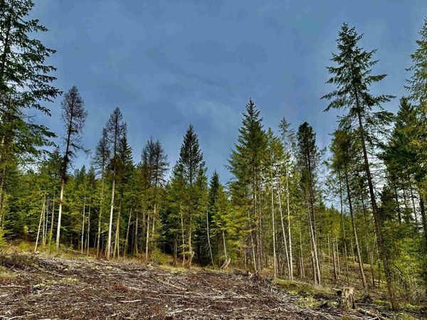 6200 Brisbois Rd, Fruitland, WA 99129